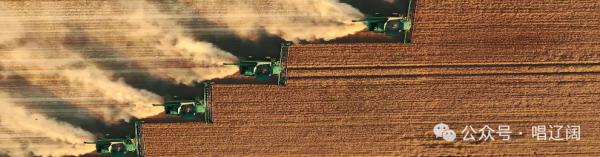 310e3c02599f1093717e9728fa89f617 (1)