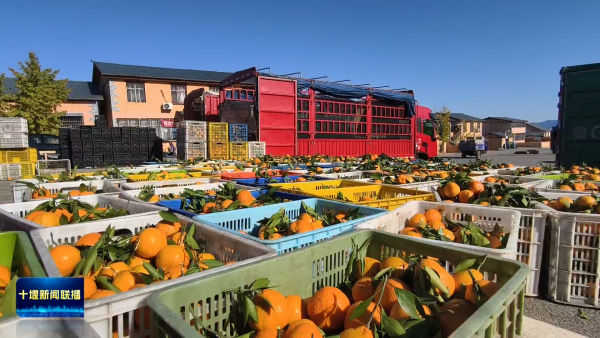 D82fJMFdL2AaAAAAAElFTkSuQmCC