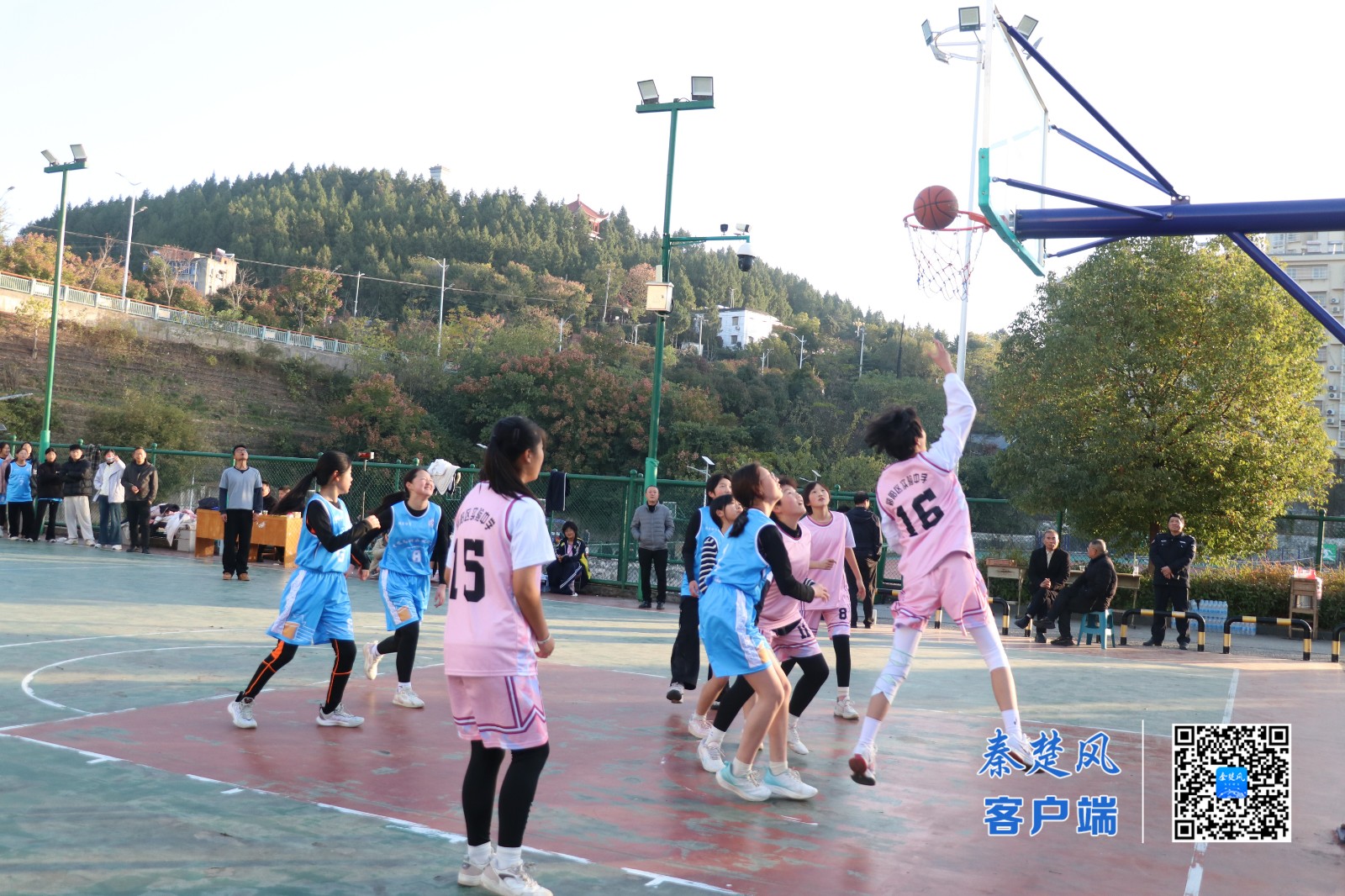 a76403abfbe093bed4d8263f6b15e4d