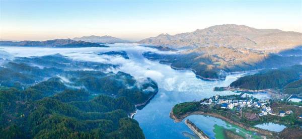 62faeab1-775e-4ee0-a760-c0a8e18cd11f