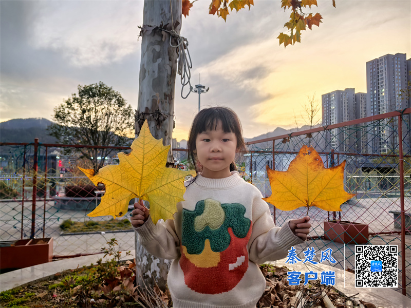 微信图片_20251202135135_885_37_副本