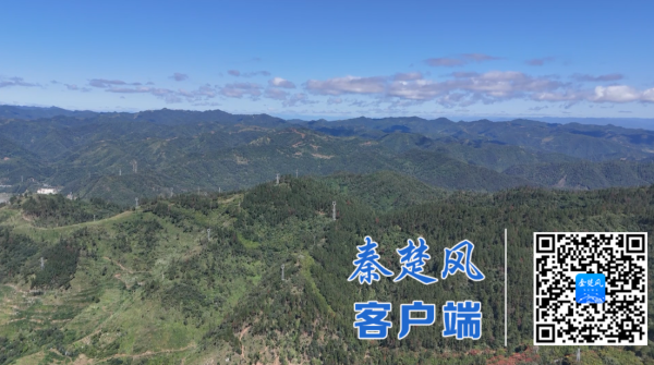 微信图片_20251203100151_副本