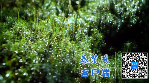 微信图片_20251203100157_副本