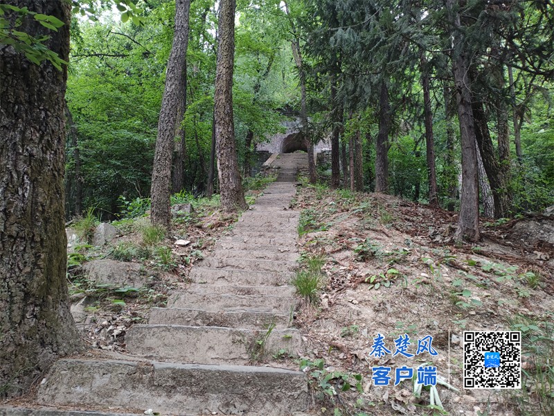 3.武当山东神道（紫霄宫至太子洞）