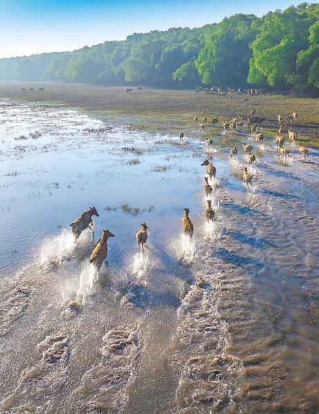 b12defa0-0bac-4a77-ad1c-778565020152