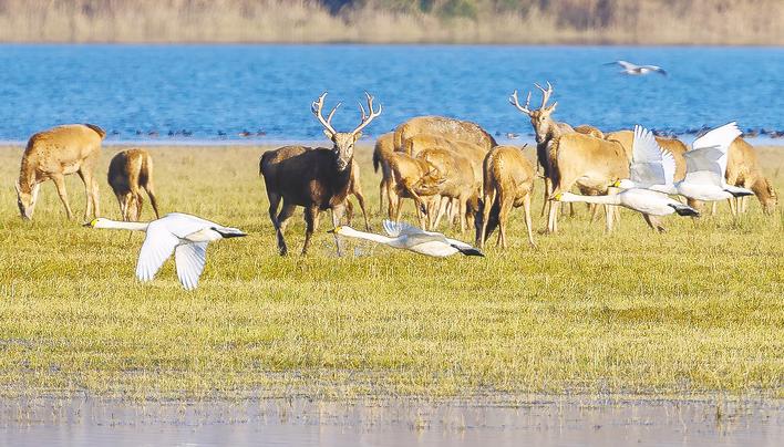 0fdfebfd-c05c-46ad-aa8a-2aec36d7c371