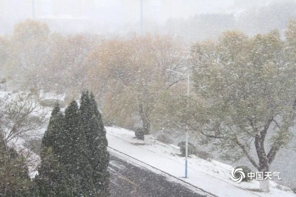 dde0a430f0b342189d9c1a41bd1c29af