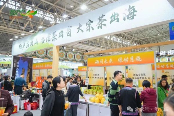 0d43a65b73f0a8c75a5962fc871d1f71