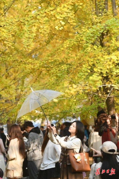 bc7d7472a5e0ac62671159028ff87885