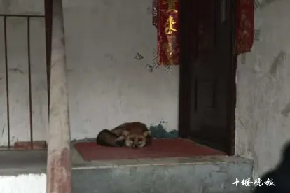 640_wx_fmt=png&from=appmsg&tp=webp&wxfrom=5&wx_lazy=1