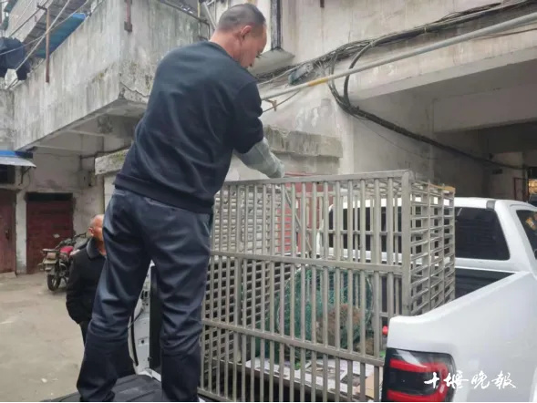 640_wx_fmt=png&from=appmsg&tp=webp&wxfrom=5&wx_lazy=1 (1)