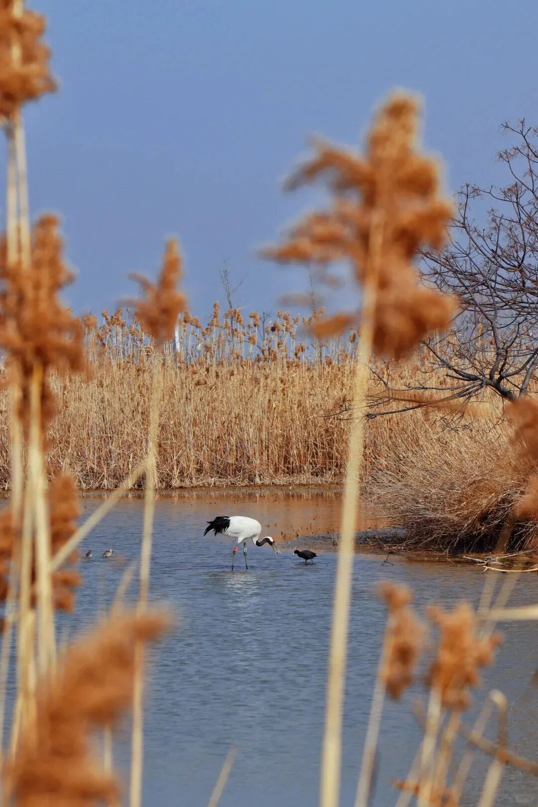 8114340955dfc56d9adaae00051f7f37