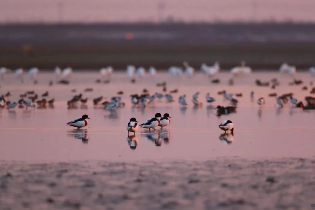 5b17a6b050e81c6b8fb9f70cb4565221