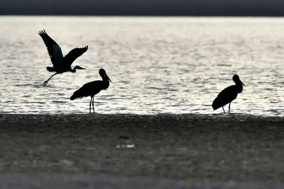 9382114a5171f7df94faecb171c16ff7