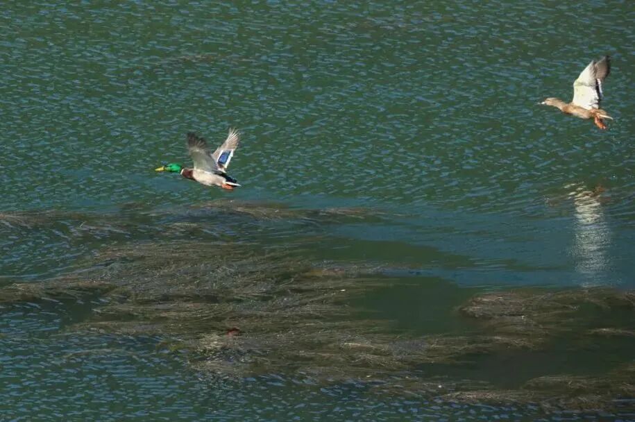 85f7afd9ed712e5d60555f3d6b4f506f