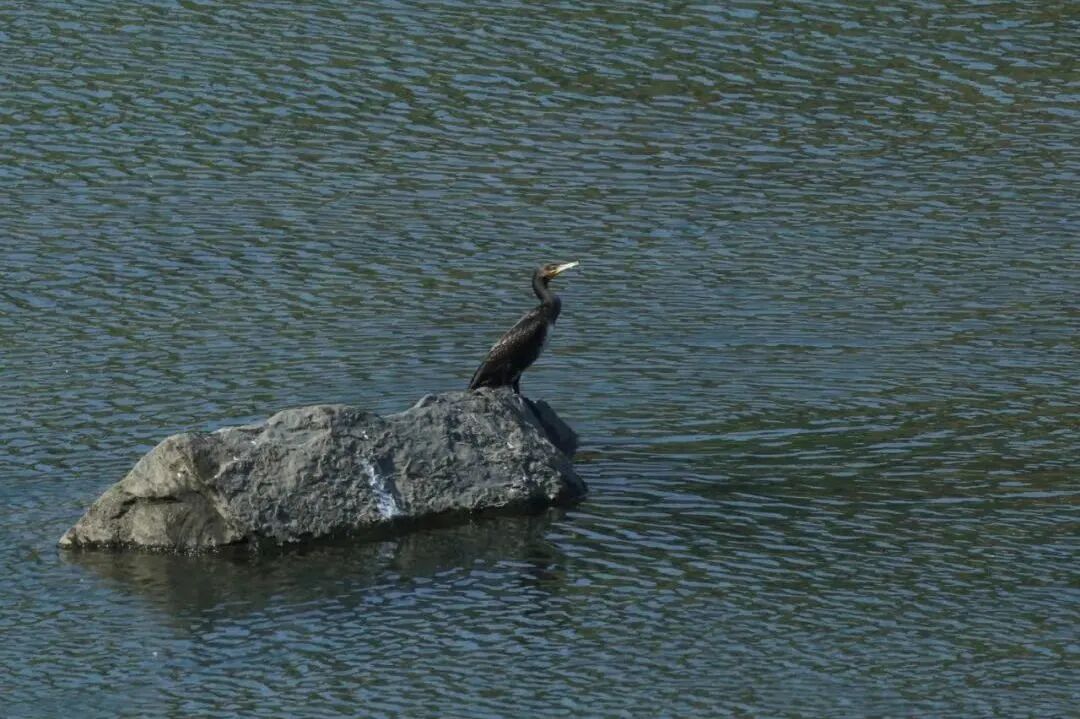 05096f11429084aa9ce4c2278ddf87c9