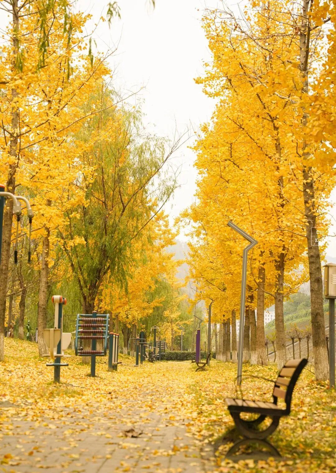 92545f7425644140e24cc76f15a6ca44