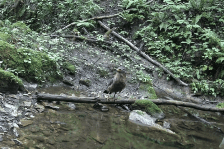 884c056c73ecf2dc8ce1929ad99e63e4