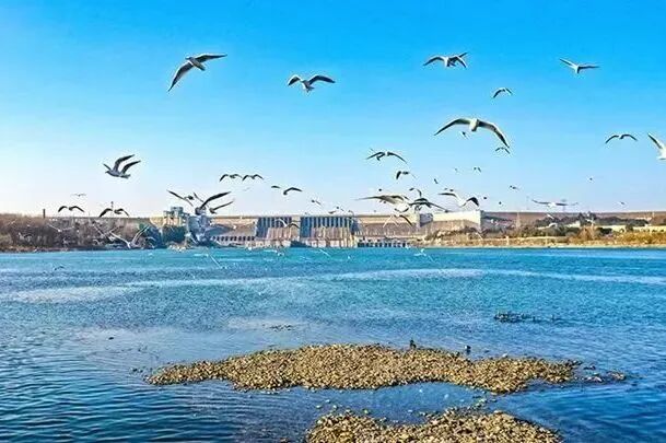 f46bd8c701f8ad9df58939ab1c0c4215