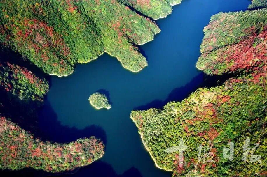 080116ac65f4ae842e84c357960edbb6