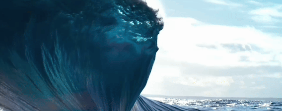 105012025120900004868