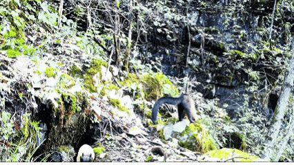 640_wx_fmt=gif&from=appmsg&tp=webp&wxfrom=5&wx_lazy=1