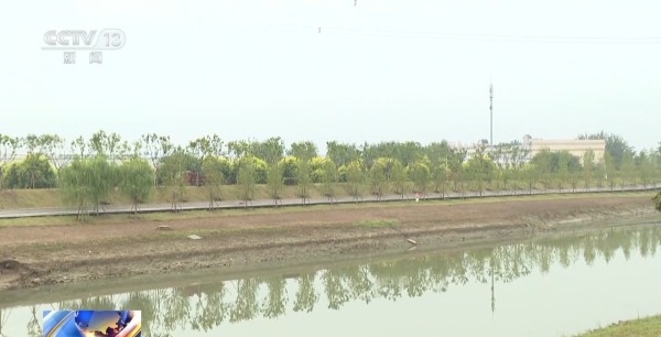 26b80a995eba4750952a299521abaae3