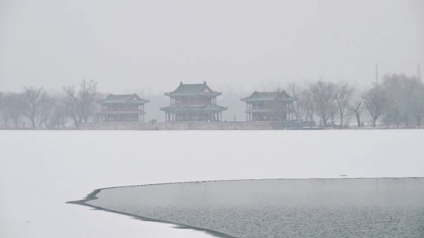 3e2098d447bd473f8294b59a5d385446