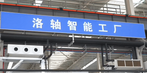 105012025122400003156