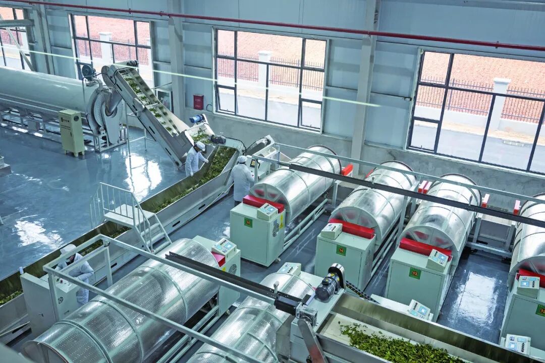 640_wx_fmt=jpeg&from=appmsg&tp=wxpic&wxfrom=5&wx_lazy=1 (2)