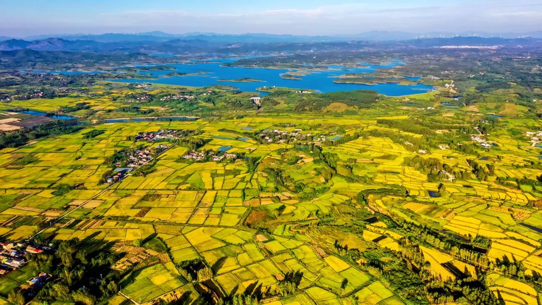 640_wx_fmt=jpeg&from=appmsg (4)