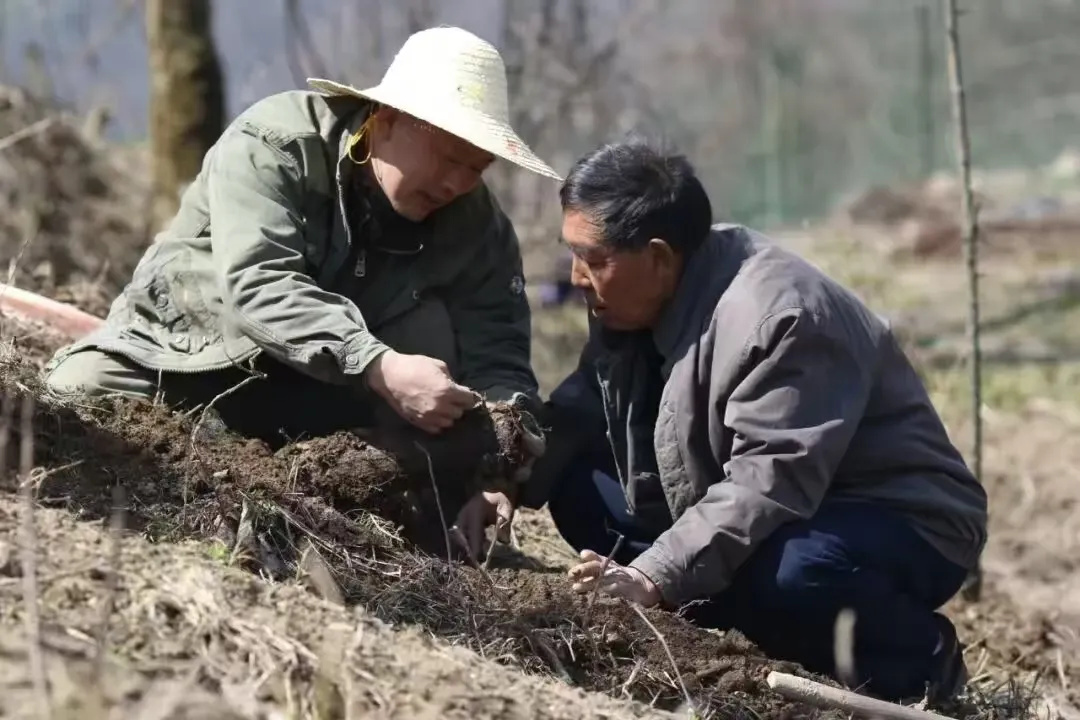 640_wx_fmt=jpeg&from=appmsg&tp=webp&wxfrom=5&wx_lazy=1