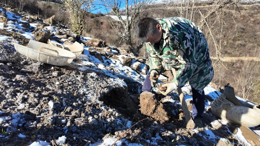 640_wx_fmt=jpeg&from=appmsg&tp=webp&wxfrom=5&wx_lazy=1 (2)