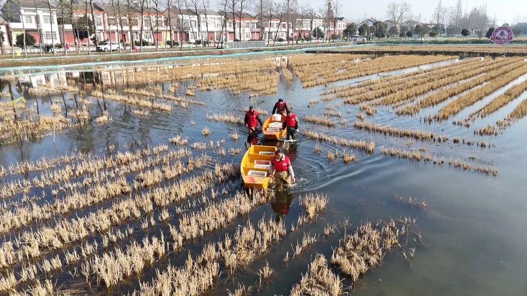 640_wx_fmt=png&from=appmsg&tp=webp&wxfrom=5&wx_lazy=1