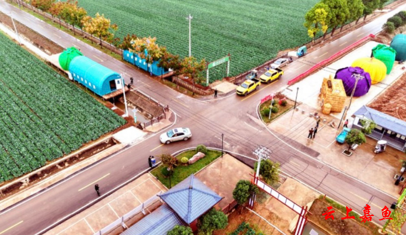 W020260109537762021984