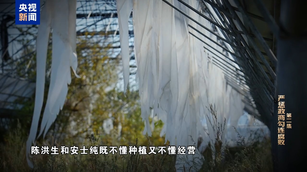 b00daa6ac6db4b64932f50eea566a82b