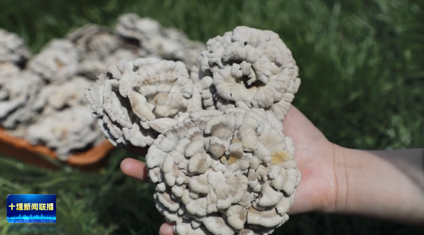 微信图片_2026-01-18_193830_168