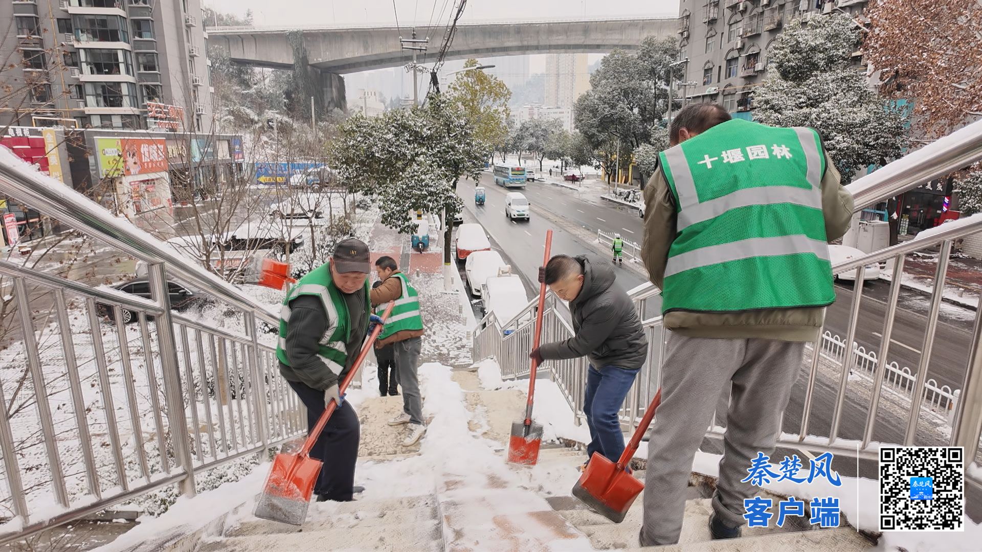 微信图片_20260120154731_20_431_副本