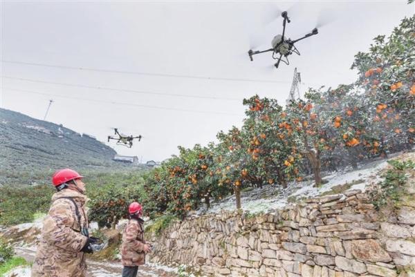 3bc6d073-dbdc-4dc9-97d2-68d49080b238_l