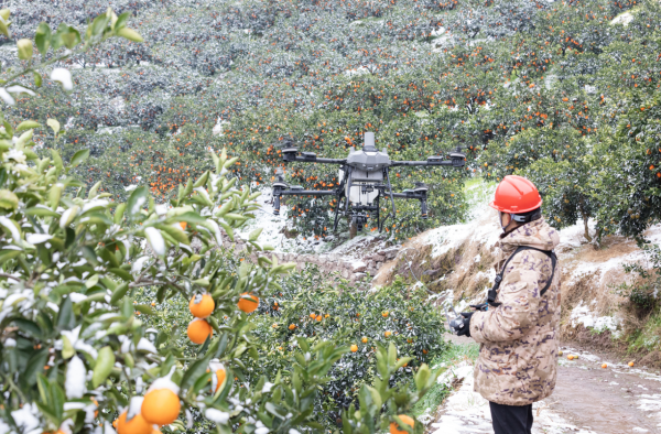 025512b8-5ce9-4e56-9249-0c747f447da1_l