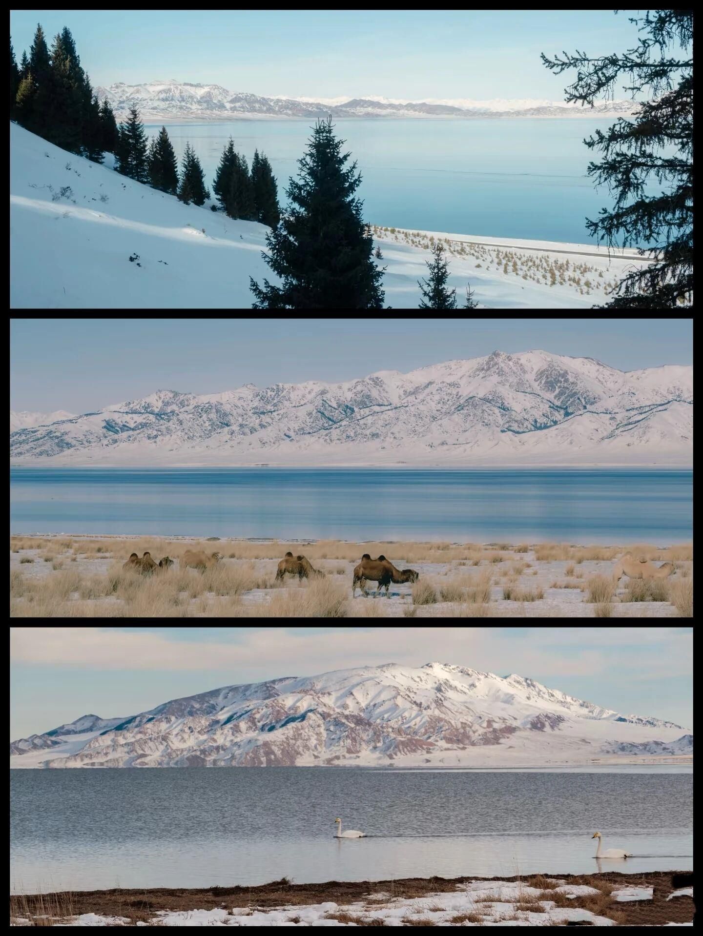 86f785ef27b91960773ad5df0951813c