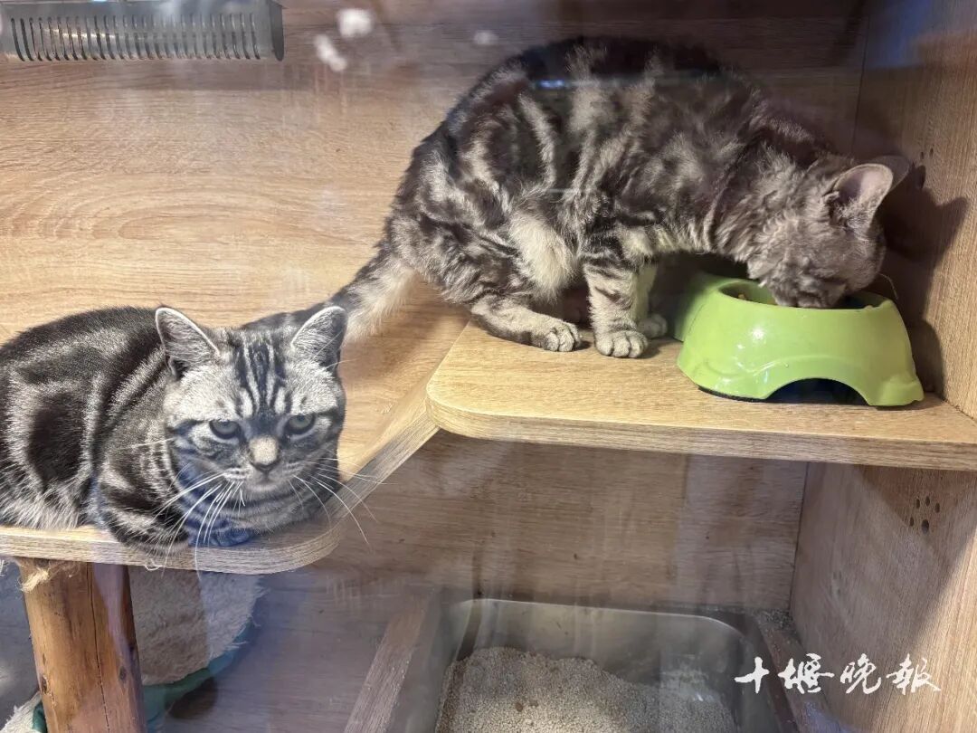 47ab83c98e9cf93a50f3e10640f4bffe