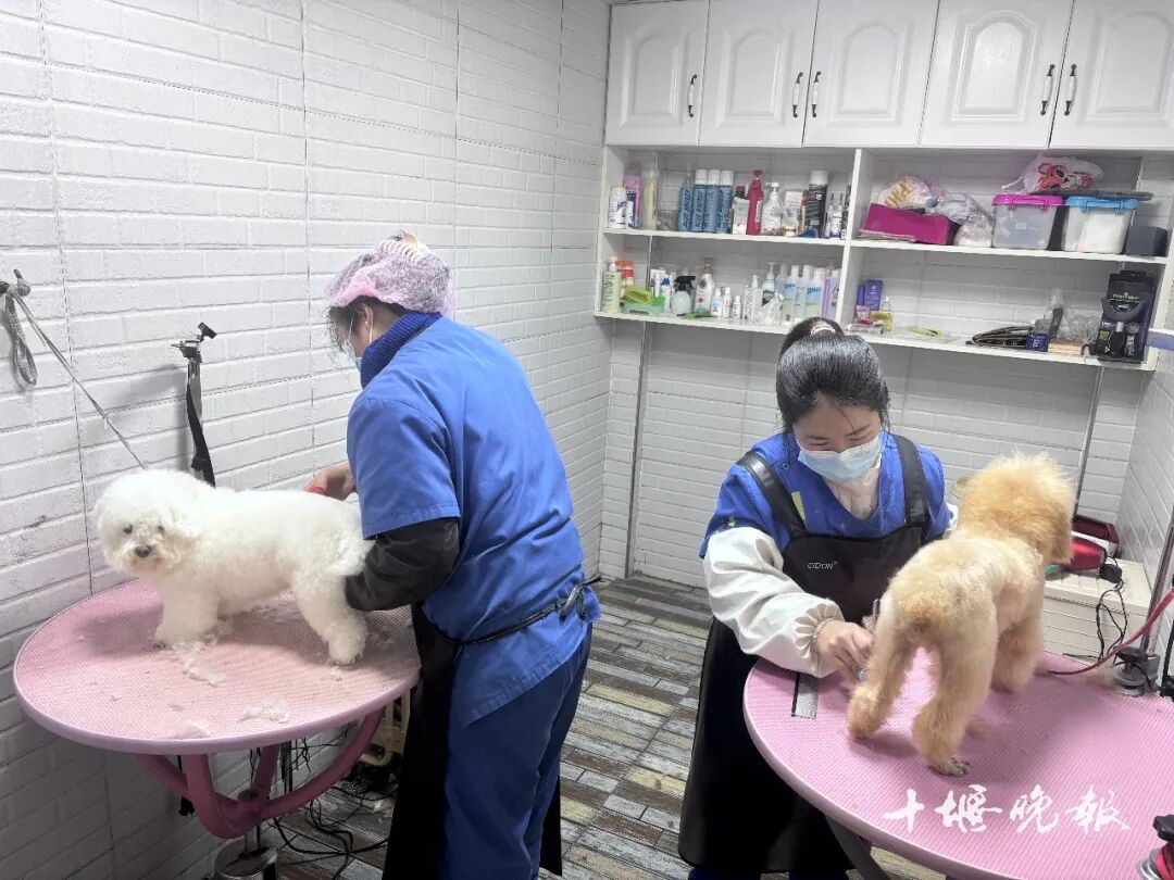 777abba14445422f42d9f79fedc01b57