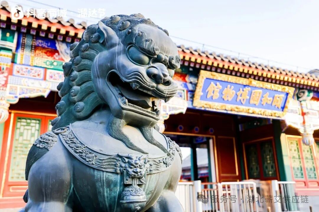 202601301613375621302