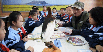 105012026013000007465