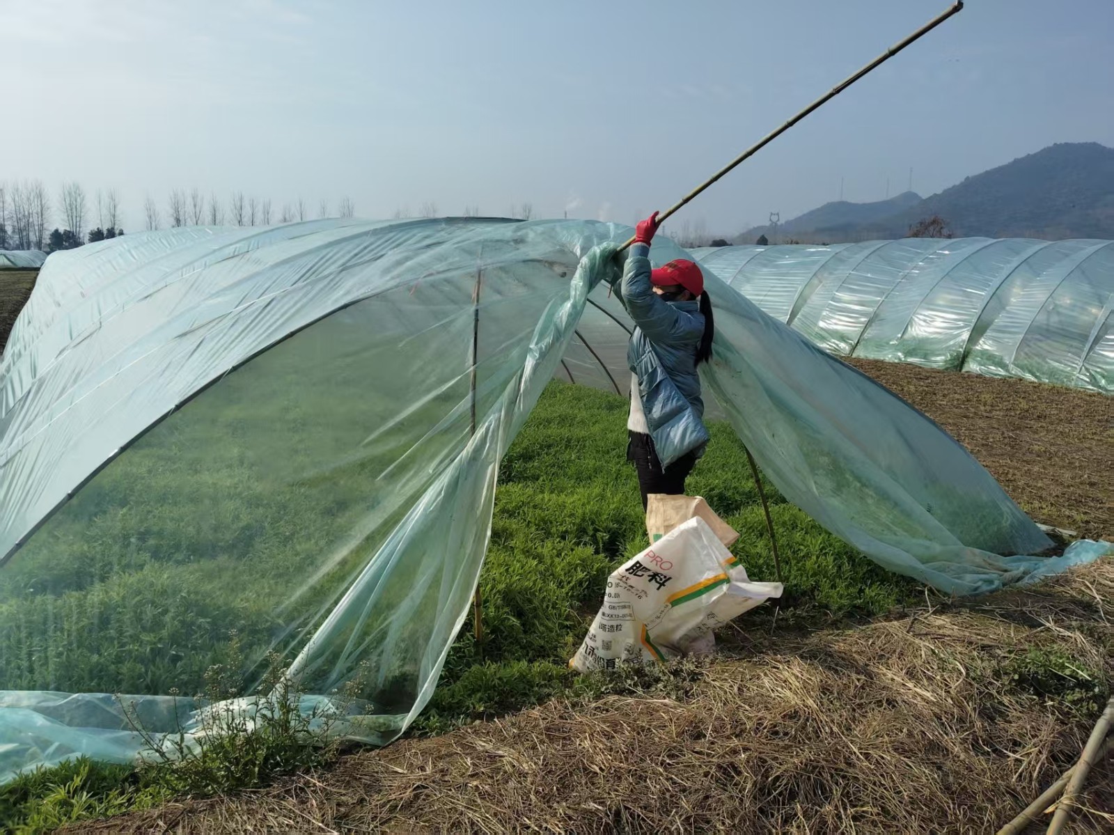 7c13f1e6e0bddf33910809d927268b5d