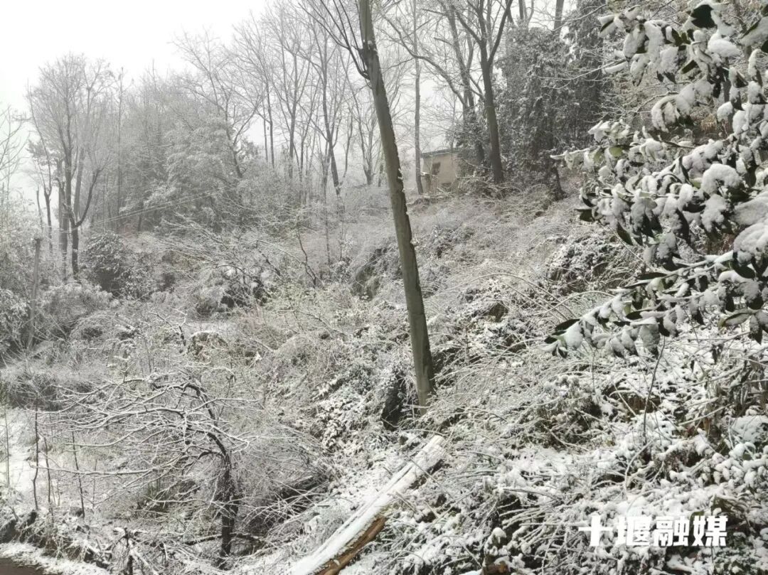 831e3e204548ea07618de7bc60d6510a