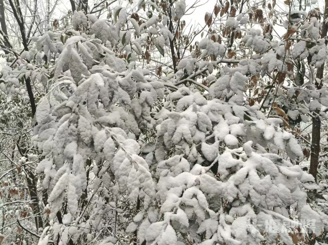 a75117055555c12abd67cf4ad3071a11