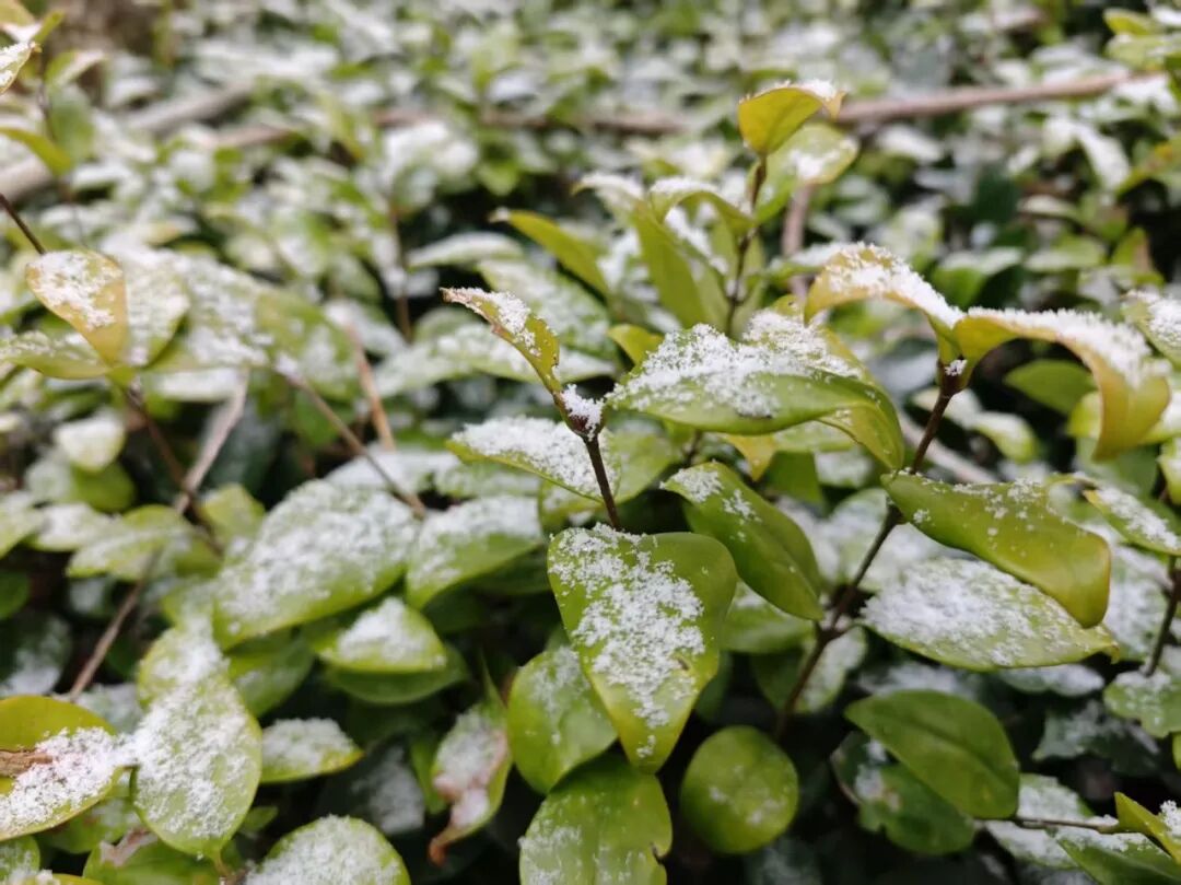 cf7a6d7a47388a52224a782d6a0d24e8