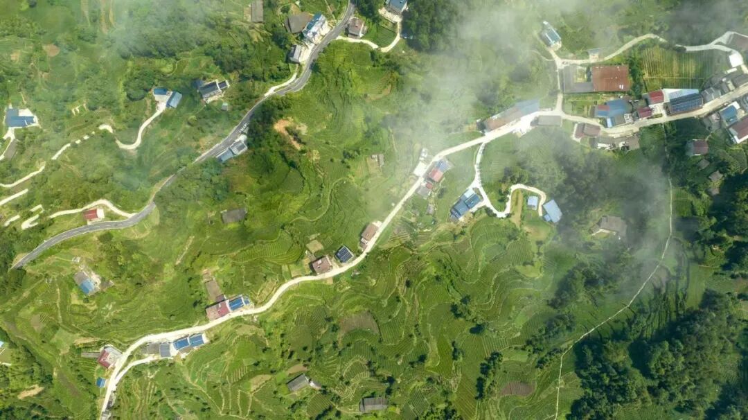 80548a15-c3a1-4b97-b20c-10ea7616e0c3_l